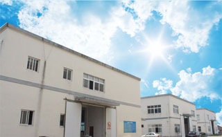 紗線(xiàn)，丙綸膨體紗，車(chē)毯紗，地毯紗，過(guò)濾紗，尼龍BCF絲，河北耐綸德新材料科技有限公司